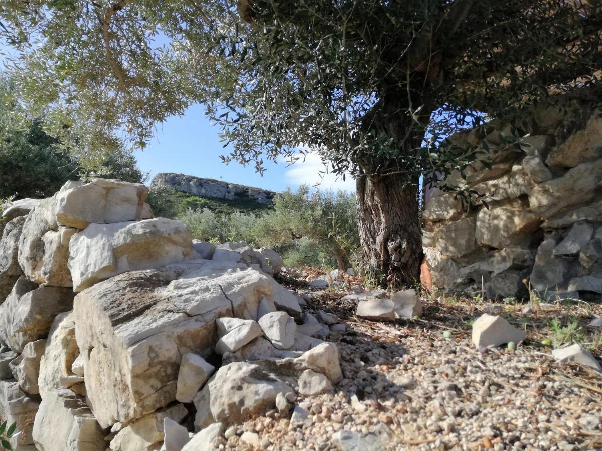 הוילה El Perelló Casa Roca מראה חיצוני תמונה